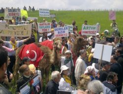 Develerle Kızılay'a Yürümek İsteyen Hes Karşıtlarına Polis İzin Vermedi