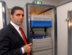 Nesli Tükenen Sülünlerin Yumurtadan Çıkışını İzlettirecek Canlı Yayın Başladı