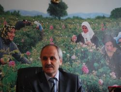 Gül Alım Kampanyası Başladı, Üretici Bu Sezon 2,5 Lira Fiyat Bekliyor