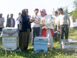 Yığılca Arısı Düzce Üniversitesi'ne Ödül Kazandırdı