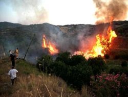 Erken İhbarlar Alanya'da Orman Yangınlarını 25 Kat Düşürdü