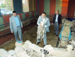 İstanbul’a Tarım Ve Hayvancılık Sanayi Sitesi Kuruluyor