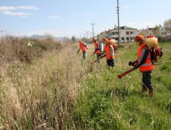 Akçay’da Sinekle Mücadele Çalışmaları Devam Ediyor