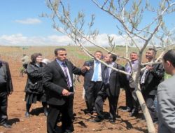 Siirt'te Çiftçi Eğitimleri Devam Ediyor