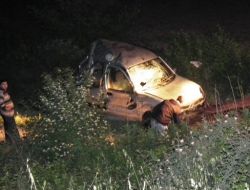 Kediyi Ezmemek İçin 4 Kişiyi Yaraladı