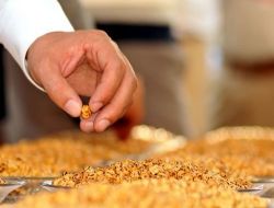 'çorum Leblebisi' Kalitesini Tescilledi