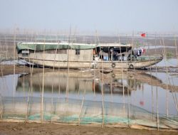 Çin’de Son 50 Yılın En Sert Kuraklığı