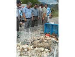 Muhalefet Koltuk Derdinde..