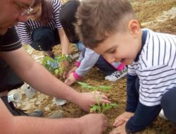 Minikler, İyi Tarım Uygulaması Yaptı