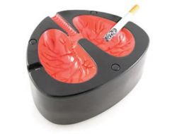 İlginçlikler Dükkanı Ürünleri İle Dikkat Çekiyor