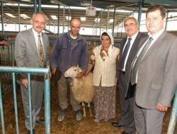 Denizli'de 10 Aileye 180 Küçükbaş Hayvan Dağıtıldı