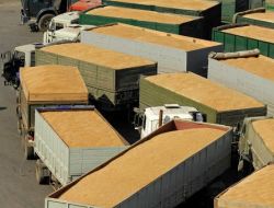 Rusya Tahıl İhracatı Yasağını Kaldırıyor