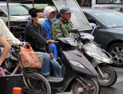 Çin'de Domuz Gribinden  İlk Ölüm
