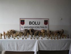 Suç Örgütüne Yönelik Operasyon..