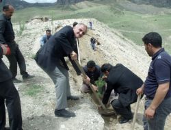 Olur Belediyesi Çalışanları, 400 Fidan Dikti