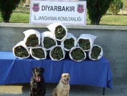 Diyarbakır'da  Uyuşturucu Operasyonu