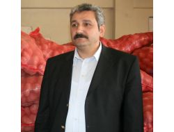 Sivas’ta Erken Ekilen Patates Tohumu Tarlada Çürüdü