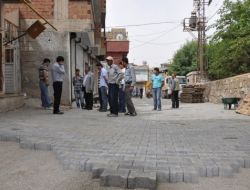 Sadak, Yol Çalışmalarını Denetledi