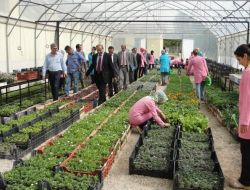 Kadınlar Projeyle Çiçek Yetiştirmeyi Öğreniyor