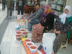 Sezonun İlk Dağ Çileği Kilosu 12 Tl’den Pazara İndi