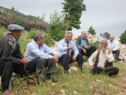 Mhp Adayı Seyfettin Yılmaz: Orman Köylüsü Kalkındırılacak