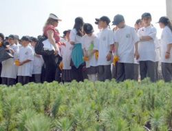 Dünya Çevre Günü Coşkuyla Kutlandı