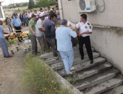 YILDIRIM DÜŞEN TARLA