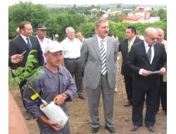 Mahkumlar Cezaevinde Ceviz Yetiştirecek