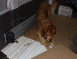 Gaziantep'te Uyuşturucu Operasyonu