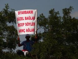 Mhp Diyarbakır Mitingi