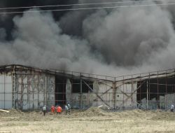 Erpiliç Firmasına Ait Yapımı Yeni Tamamlanan Boş Kuluçka Tesislerinde Yangın