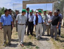 Vali Çolak:siirt'in Gözbebeği Bağlara Ve Bahçelere Sahip Çıkmak Hepimizin Görevi