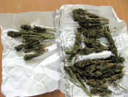 3 Kişinin Üzerinde 100 Gram Esrar