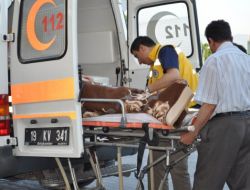 Çorum'da Yolcu Otobüsü Devrildi: 57 Yaralı