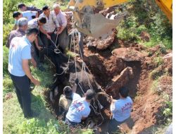 Mağaraya Düşen İnek, Alanya İtfaiyesi İş Makineleriyle Kurtarıldı