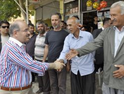 Çelik: Chp Hacı Murat 124 Gibi