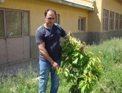 Öğrenciler Diktikleri Fidanlara Şehit Ve Gazilerin İsimlerini Verdi