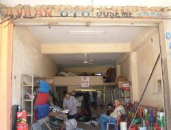 Burası Da Kırlangıçların Sitesi