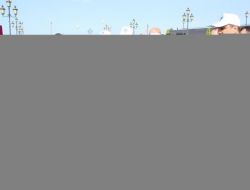 Çevre Günü Kapsamında Çam Fidanı Dağıtıldı