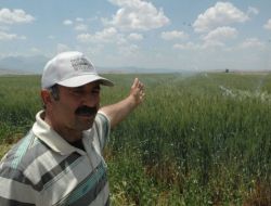 Çiftçilerin İcat Ettikleri Sulama Yöntemi Tarla Fiyatlarını 5 Kat Artırdı