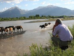 Hayvanlar, Karasu'nun Azgın Sularıyla Artık Mücadele Etmeyecek