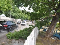 Fırtına, Edirne’de Ağaç Dallarını Kopardı