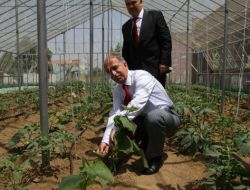 Otistik Çocuklar Okulunun Bahçesi Seraya Çevrildi