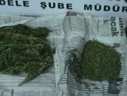 Eşzamanlı Uyuşturucu Operasyonu