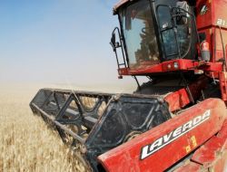 Tigem’de Hasat Başladı