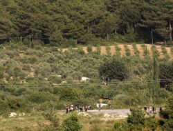 Suriye'den Bir Gruptan Sığınma Talebi