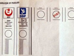 Bdp'den Seçmene Örnek Oy Pusulası