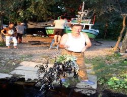 Ordu Valiliği, Melet'teki Kirlilik İçin Dava Açacak!.