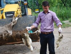 Tavşanlı'da İçme Suyundan Zehirlenen 5 Kişi Hastaneye Kaldırıldı