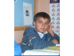 Yedikleri Mantadan Zehirlendiler